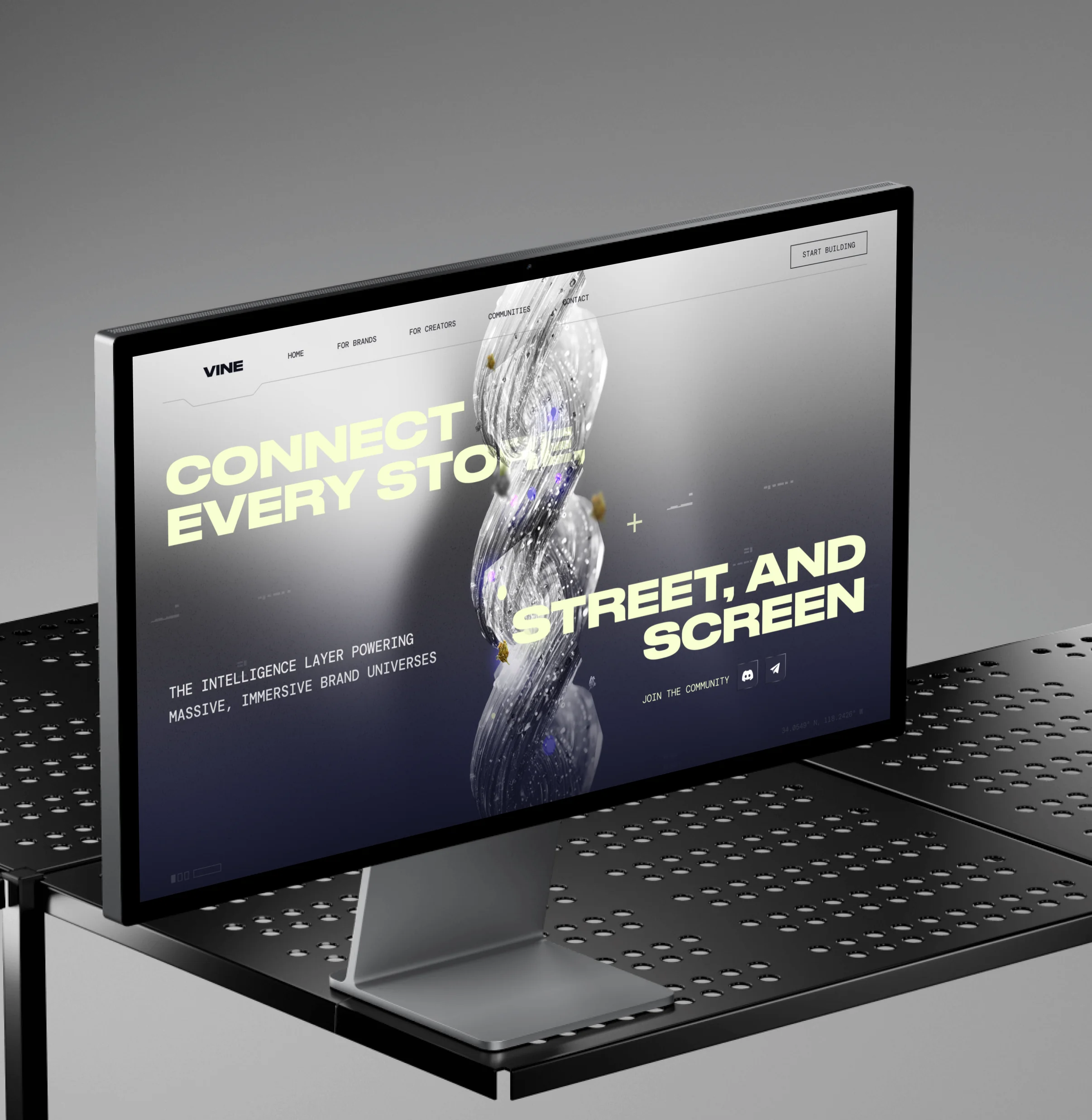 Vine branding project preview